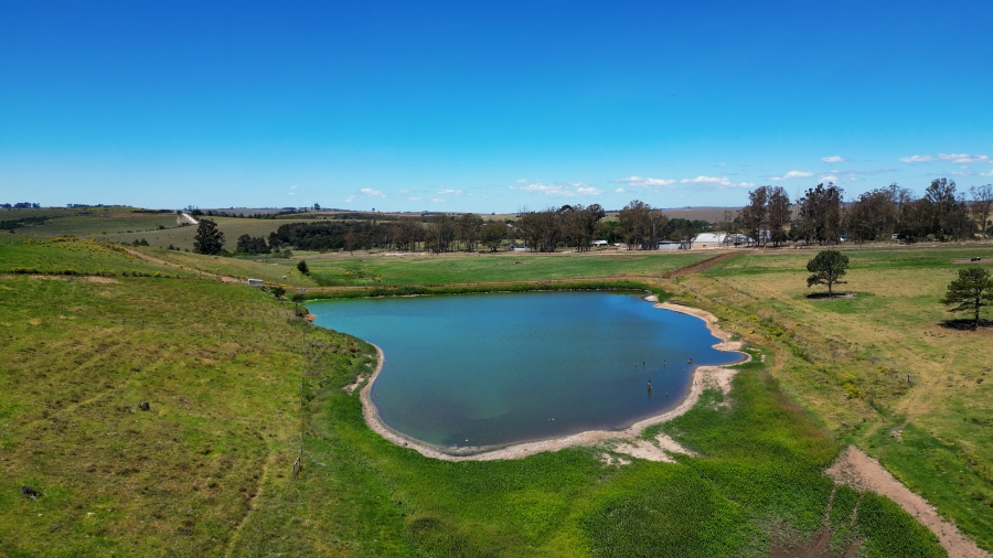 0 Bedroom Property for Sale in Stutterheim Rural Eastern Cape